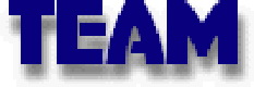 TEAM Logo